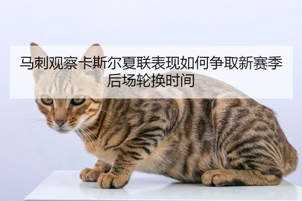 马刺观察卡斯尔夏联表现如何争取新赛季后场轮换时间